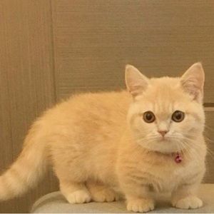 Meet your Posher, Thanh